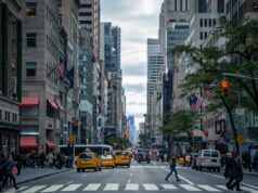 Maximizing Your Options in Wall Street