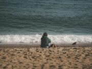 Human Nature Will Never Change. And. How to Profit From It.