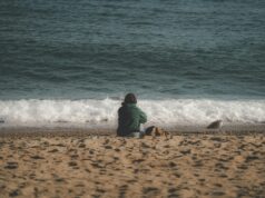 Human Nature Will Never Change. And. How to Profit From It.