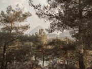 Ludvig Sunström and Mikael Syding Present: Breaking out of Homeostasis.