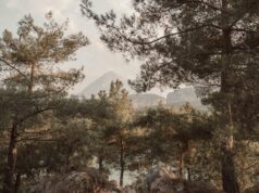 Ludvig Sunström and Mikael Syding Present: Breaking out of Homeostasis.