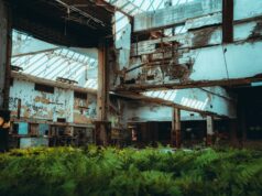 Slight Update to Growth Industries and Ways to Be Employed in the Future (Q&A announcement as well)