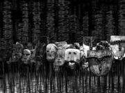 Some Fun Social Tells and Q&A Announcement