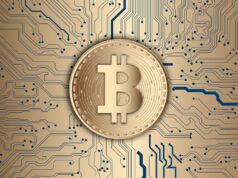 Risk Management: Politics, Bitcoin, Basketball, and Stocks!